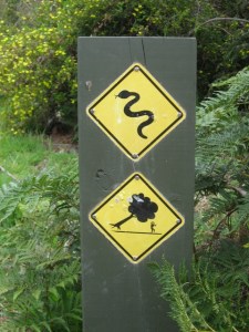 Hopefully not too many of these!