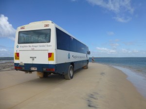 4 X 4 beach bus