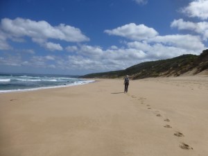 Cape Otway