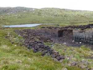 Apart from forming a bog it does have some other uses.