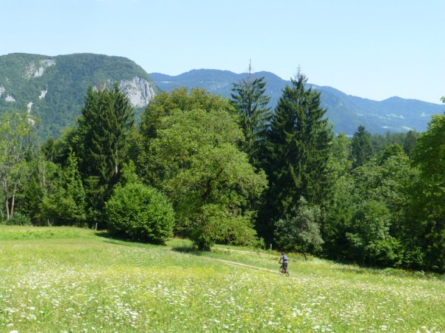Cycling through Slovenian meadows