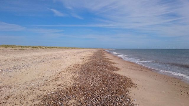 Away from the amusements