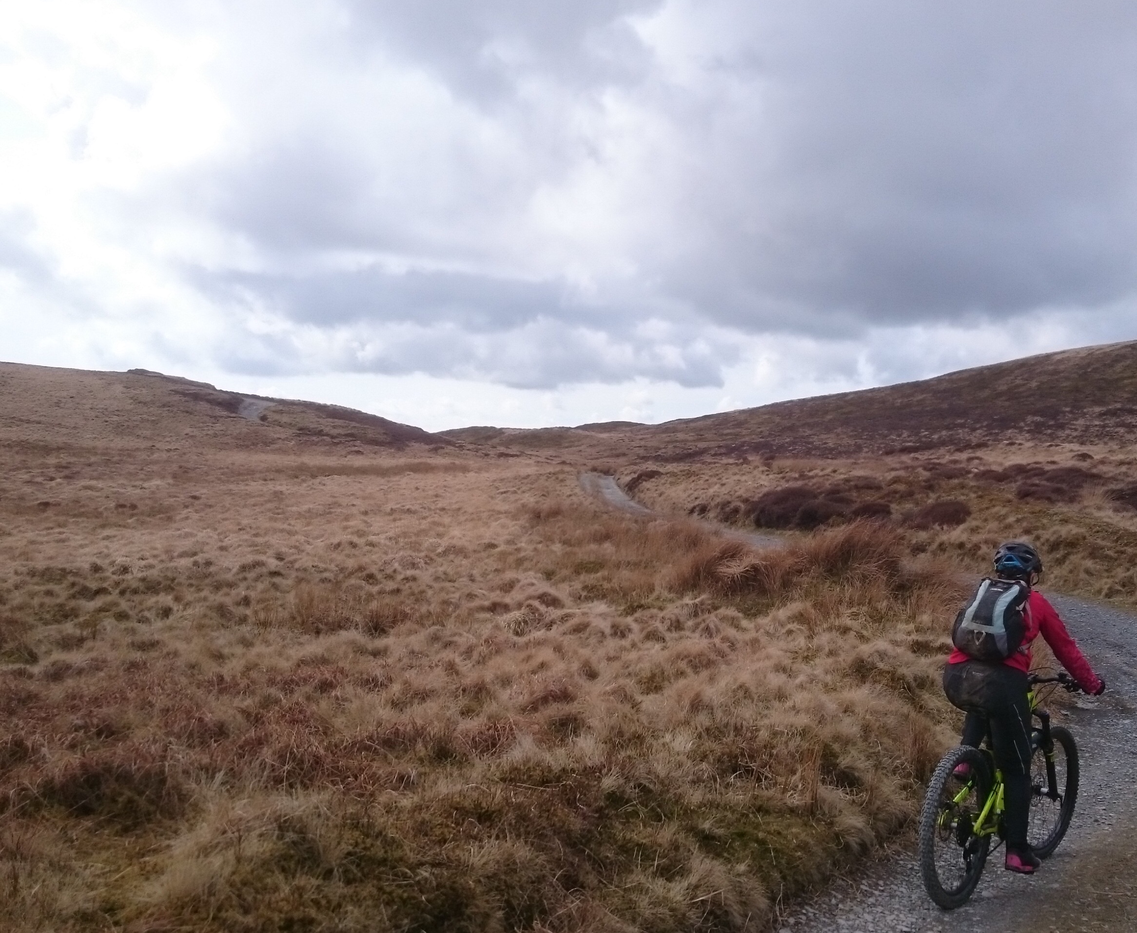 1B5B1EA3-2D6A-4813-A8A3-CAC4E7E2B760