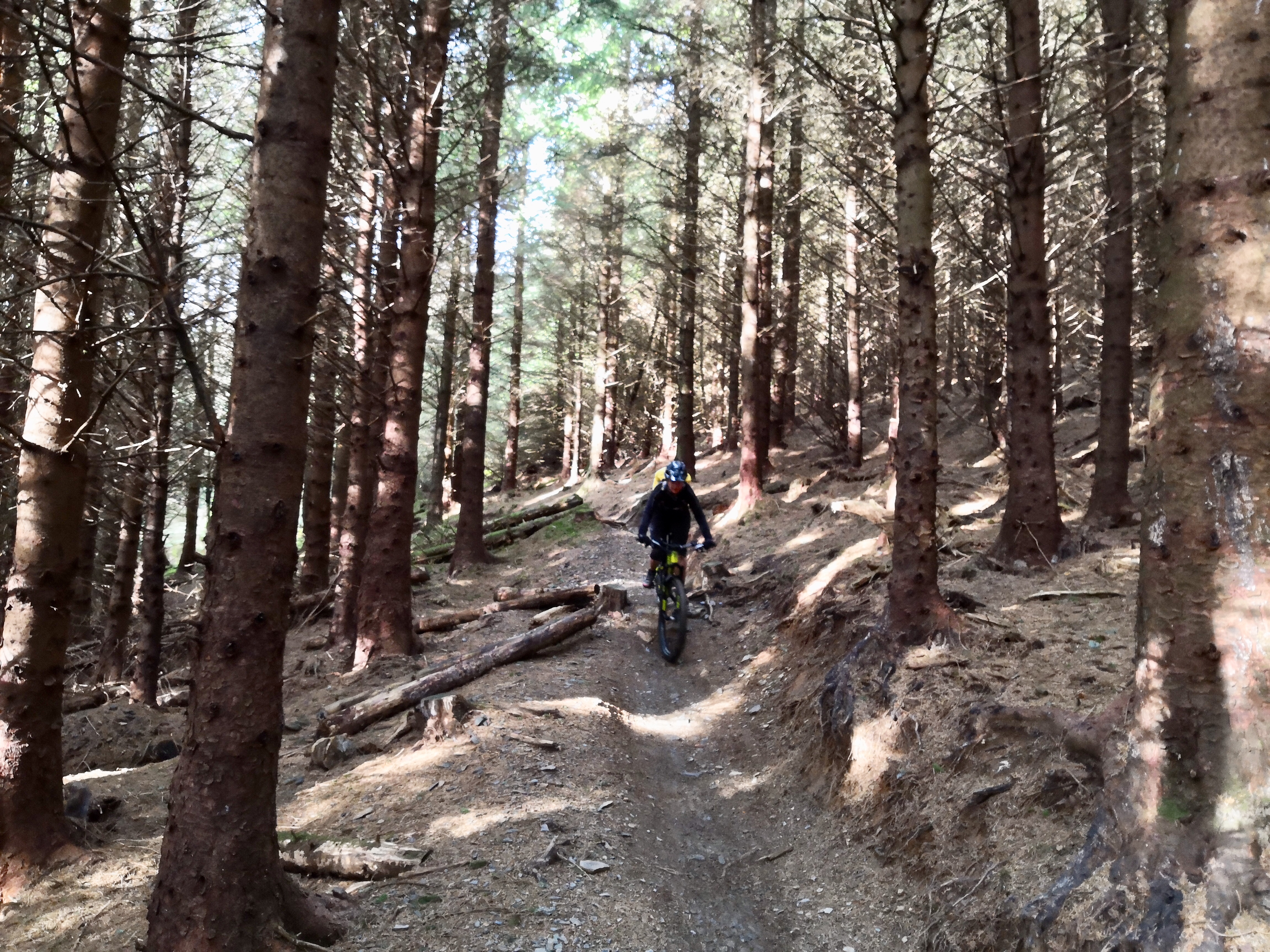 MTB Whinlatter
