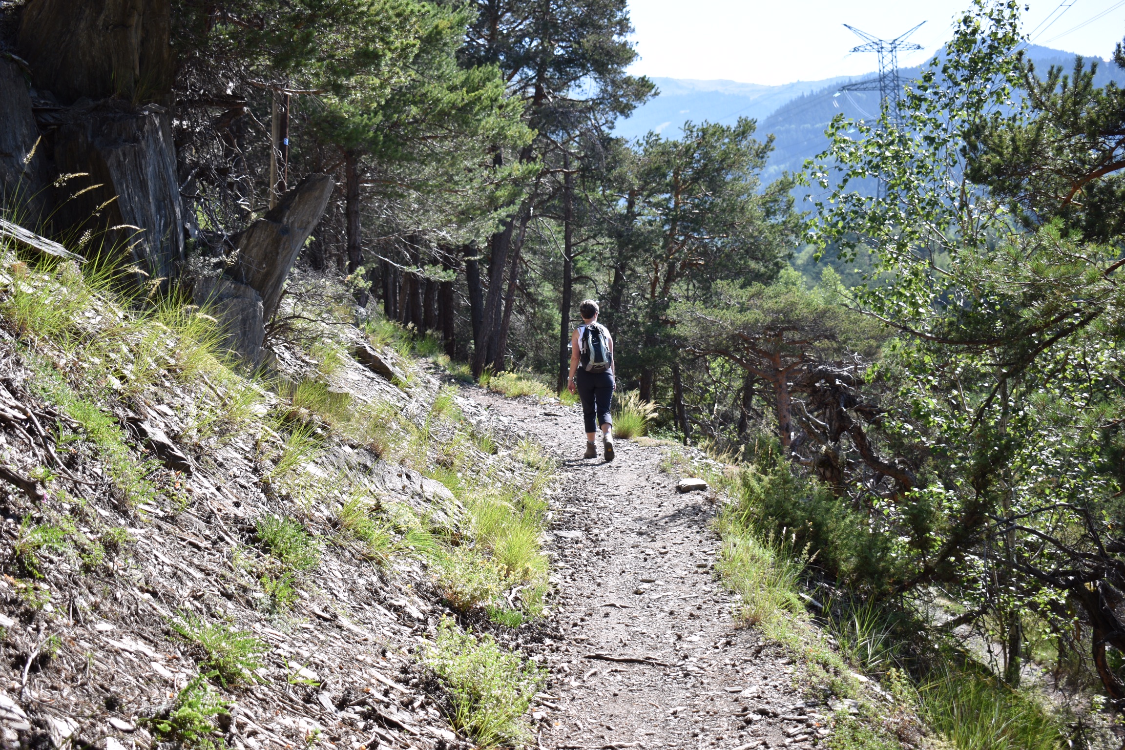 4B84BA86-1F17-438B-AF75-BCE96F46D244