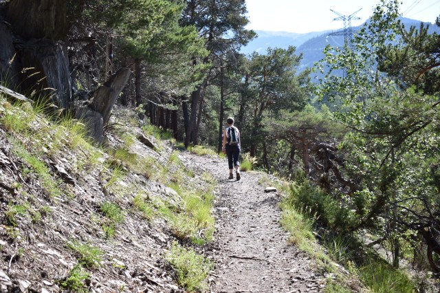 4B84BA86-1F17-438B-AF75-BCE96F46D244